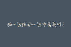 猫一边踩奶一边冲着我叫?