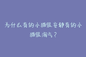 为什么有的小猫很安静有的小猫很淘气?