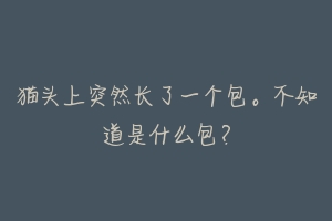 猫头上突然长了一个包。不知道是什么包?