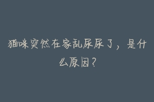 猫咪突然在家乱尿尿了,是什么原因?