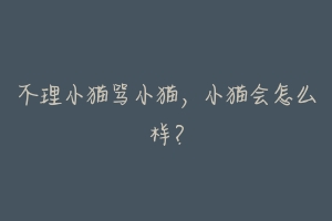 不理小猫骂小猫,小猫会怎么样?