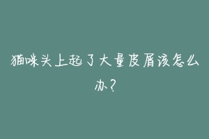 猫咪头上起了大量皮屑该怎么办?