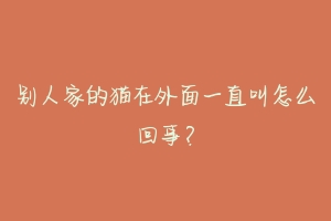 别人家的猫在外面一直叫怎么回事?