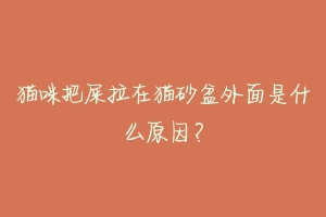 猫咪把屎拉在猫砂盆外面是什么原因?