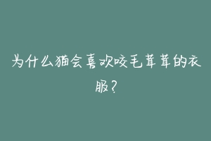 为什么猫会喜欢咬毛茸茸的衣服?
