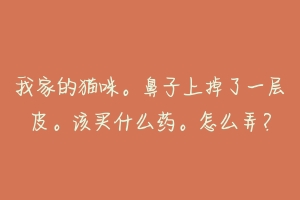 我家的猫咪。鼻子上掉了一层皮。该买什么药。怎么弄?