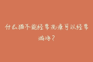 什么猫不能经常洗澡可以经常游泳?