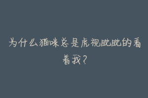 为什么猫咪总是虎视眈眈的看着我?