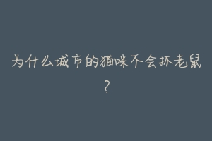 为什么城市的猫咪不会抓老鼠?