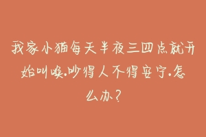 我家小猫每天半夜三四点就开始叫唤.吵得人不得安宁.怎么办？