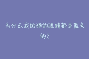 为什么我的猫的眼睛都是蓝色的?