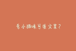 夸小猫咪可爱文案?