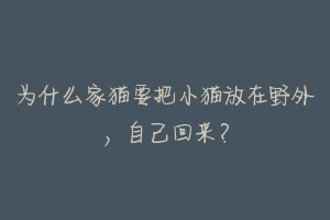 为什么家猫要把小猫放在野外,自己回来?