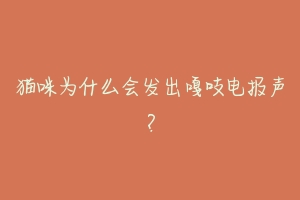 猫咪为什么会发出嘎吱电报声？