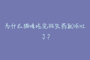 为什么猫咪吃完驱虫药就呕吐了?