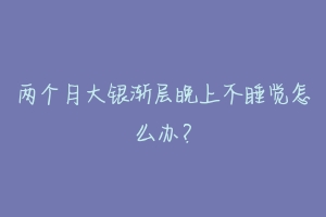 两个月大银渐层晚上不睡觉怎么办?