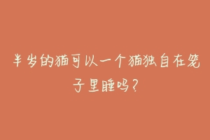 半岁的猫可以一个猫独自在笼子里睡吗?