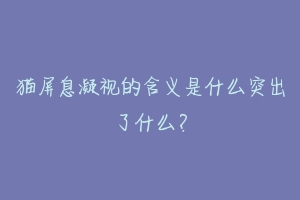 猫屏息凝视的含义是什么突出了什么？