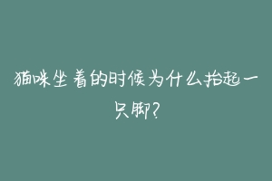猫咪坐着的时候为什么抬起一只脚？
