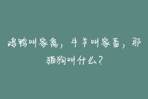 鸡鸭叫家禽,牛羊叫家畜,那猫狗叫什么?