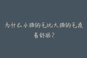 为什么小猫的毛比大猫的毛摸着舒服?