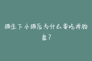 猫生下小猫后为什么要吃掉胎盘?