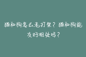猫和狗怎么老打架？猫和狗能友好相处吗？