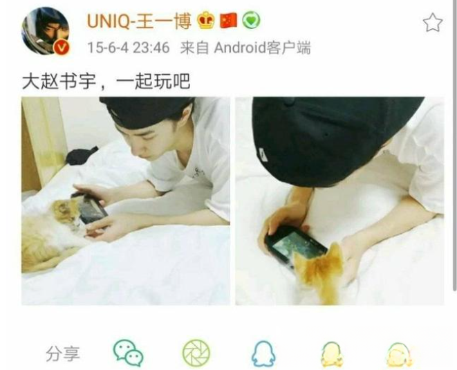 王一博的猫为什么叫赵书宇？