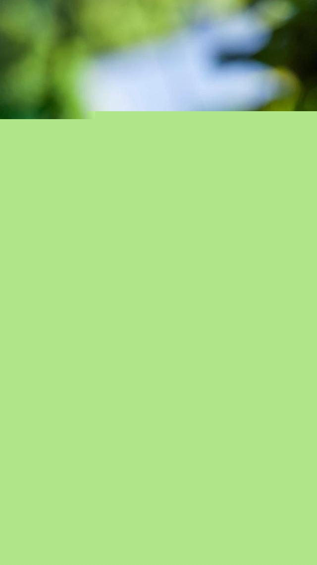 一个月的小猫怎么养活,一个月的猫能养活吗?