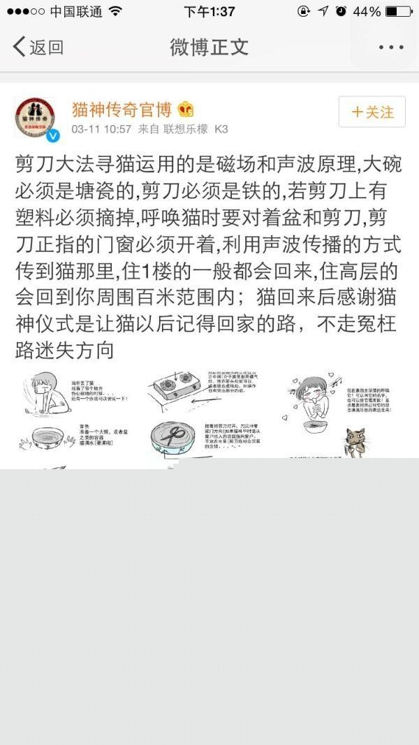 什么味道最吸引猫，猫丢了，怎么引它出来？