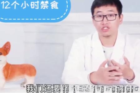 猫咪绝育手术注意事项？