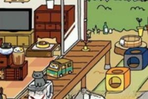 猫咪后院怎么吸引猫后院收集攻略?