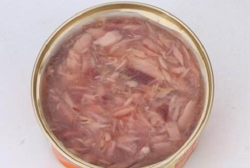 我家猫咪突然不吃饭是怎么回事？