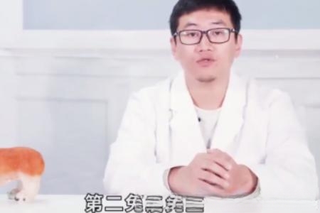 猫咪绝育手术注意事项？