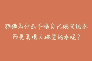 猫猫为什么不喝自己碗里的水而更喜喝人碗里的水呢？