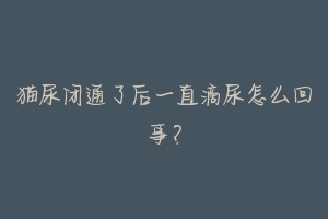 猫尿闭通了后一直滴尿怎么回事？