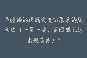 异瞳猫的眼睛会变回原来的颜色吗（一蓝一黄，蓝眼睛上边出现黄色）？