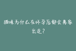 猫咪为什么在怀孕后都会离家出走？