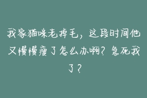 我家猫咪老掉毛，这段时间他又慢慢瘦了怎么办啊？急死我了？