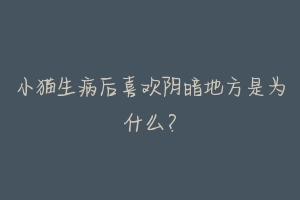 小猫生病后喜欢阴暗地方是为什么?