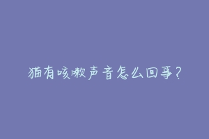 猫有咳嗽声音怎么回事？