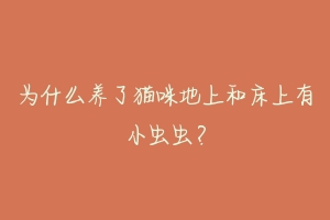 为什么养了猫咪地上和床上有小虫虫?