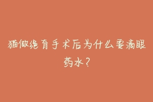 猫做绝育手术后为什么要滴眼药水?
