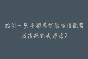 捡到一只小猫养然后变得倒霉我该把它丢掉吗?