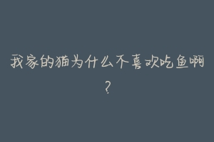 我家的猫为什么不喜欢吃鱼啊?