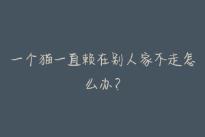 一个猫一直赖在别人家不走怎么办?