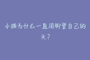小猫为什么一直用脚登自己的头?