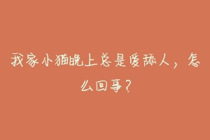 我家小猫晚上总是爱舔人,怎么回事?