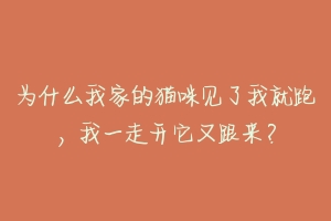 为什么我家的猫咪见了我就跑,我一走开它又跟来?