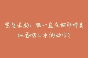 紧急求助：猫一直在做那种类似吞咽口水的动作？